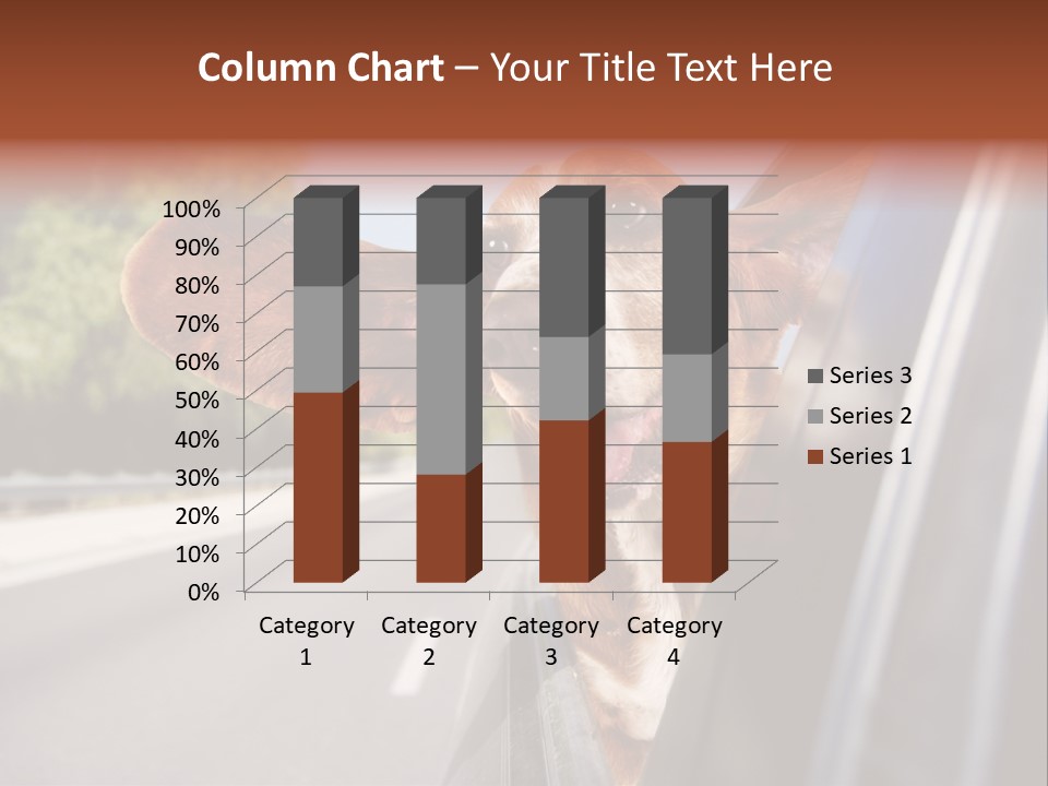 Mammal Animal Humorous PowerPoint Template