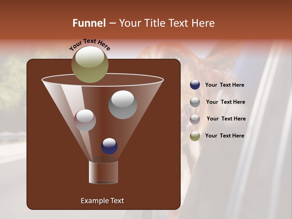 Mammal Animal Humorous PowerPoint Template