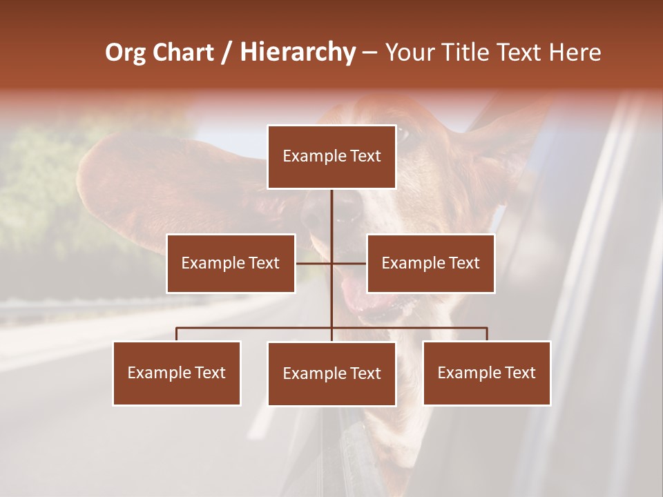 Mammal Animal Humorous PowerPoint Template