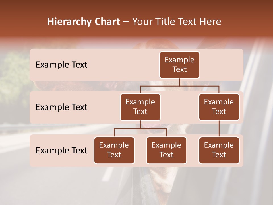Mammal Animal Humorous PowerPoint Template