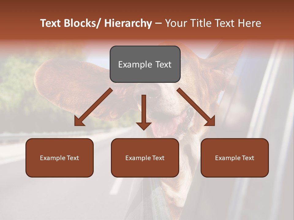 Mammal Animal Humorous PowerPoint Template