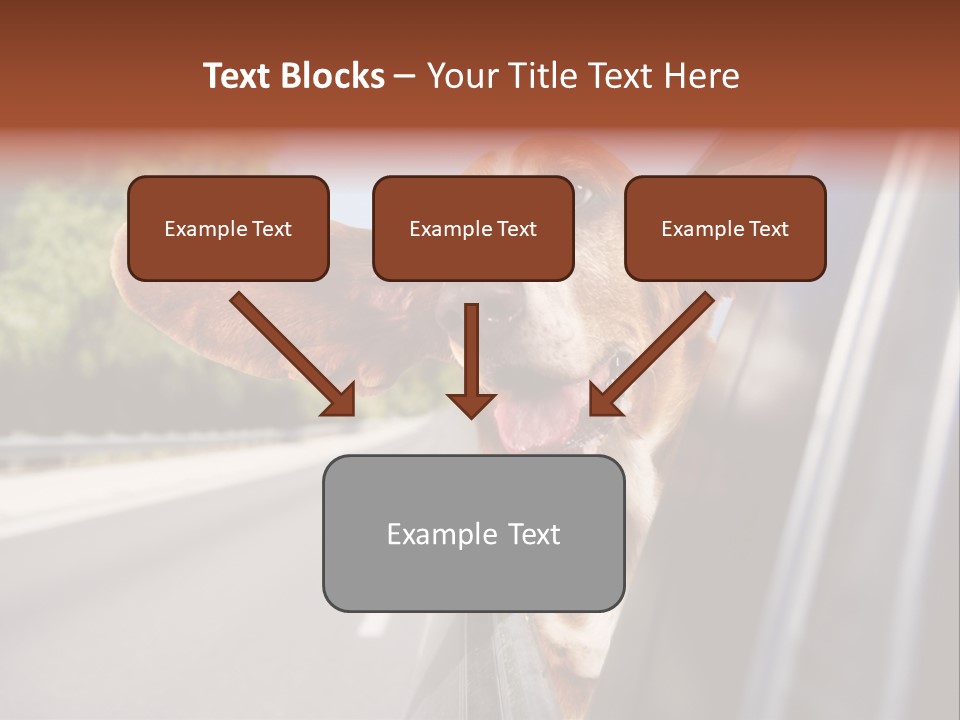 Mammal Animal Humorous PowerPoint Template