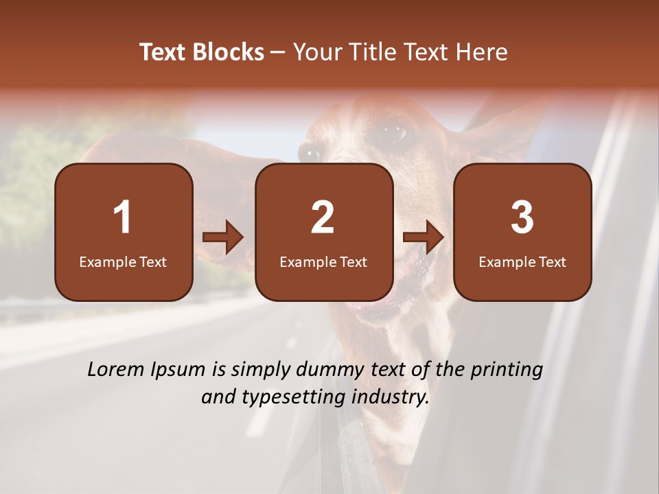 Mammal Animal Humorous PowerPoint Template