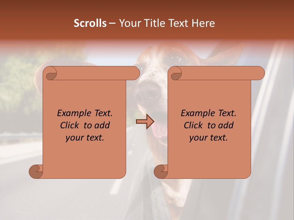 Mammal Animal Humorous PowerPoint Template