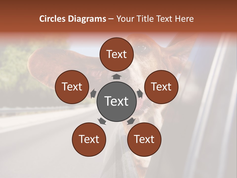 Mammal Animal Humorous PowerPoint Template