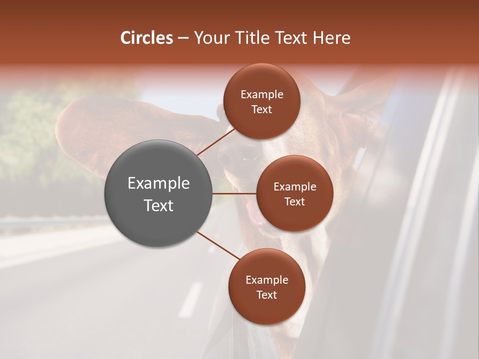 Mammal Animal Humorous PowerPoint Template