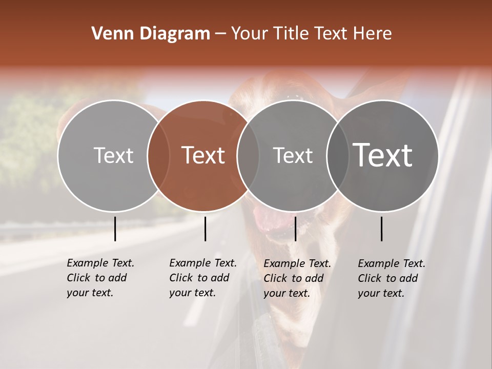 Mammal Animal Humorous PowerPoint Template