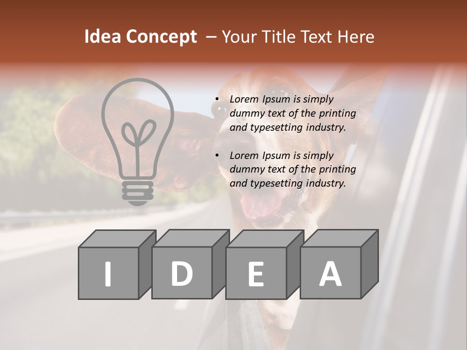 Mammal Animal Humorous PowerPoint Template