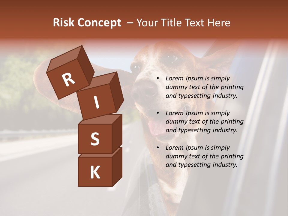 Mammal Animal Humorous PowerPoint Template