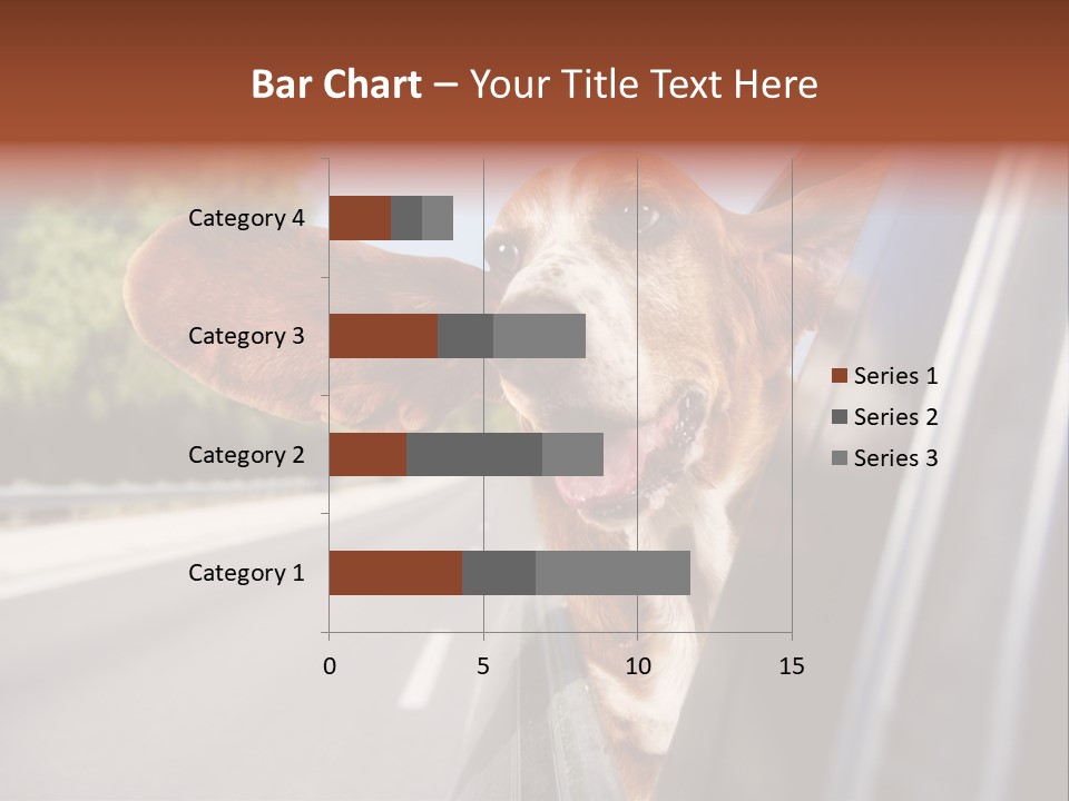Mammal Animal Humorous PowerPoint Template