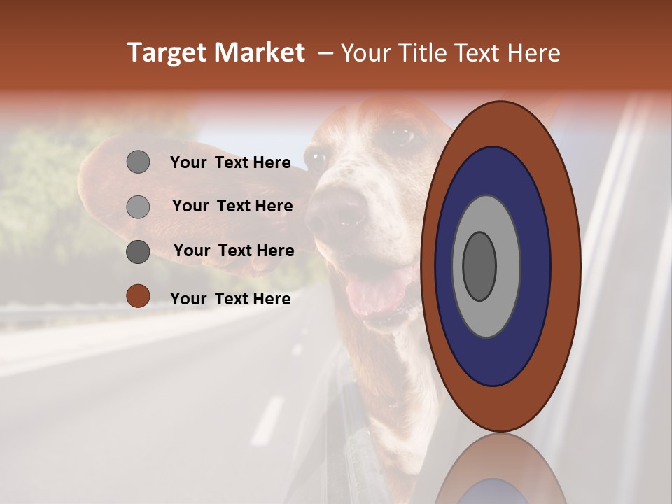 Mammal Animal Humorous PowerPoint Template