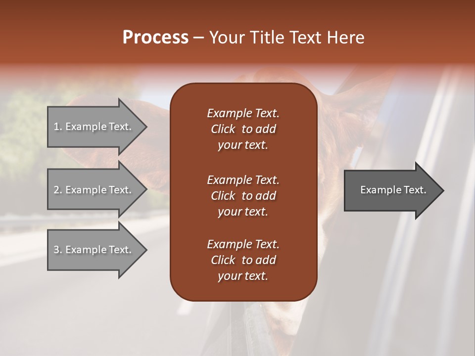Mammal Animal Humorous PowerPoint Template