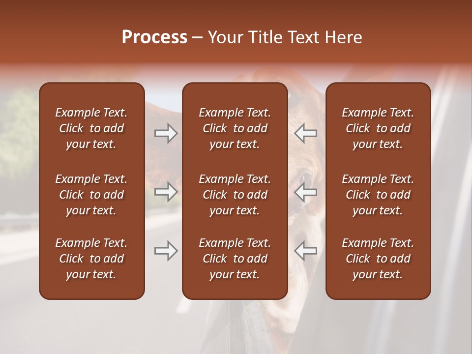 Mammal Animal Humorous PowerPoint Template