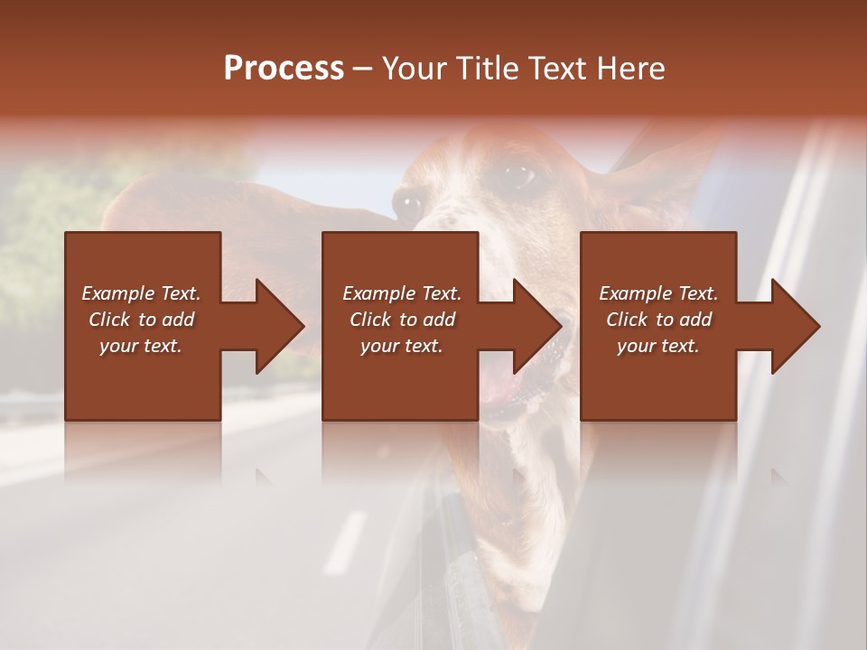 Mammal Animal Humorous PowerPoint Template