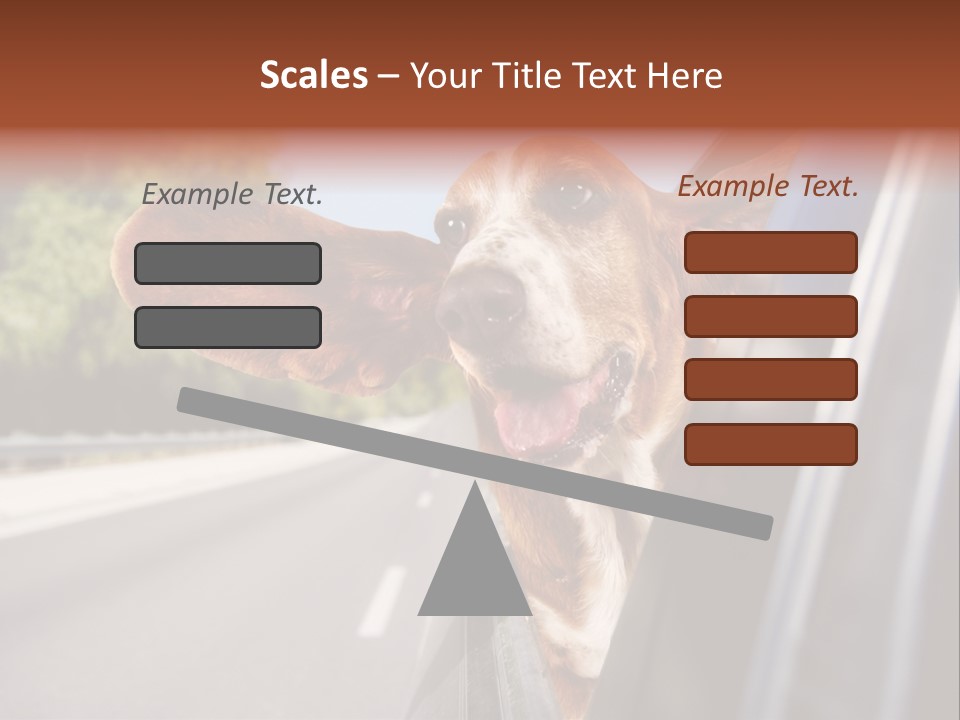 Mammal Animal Humorous PowerPoint Template