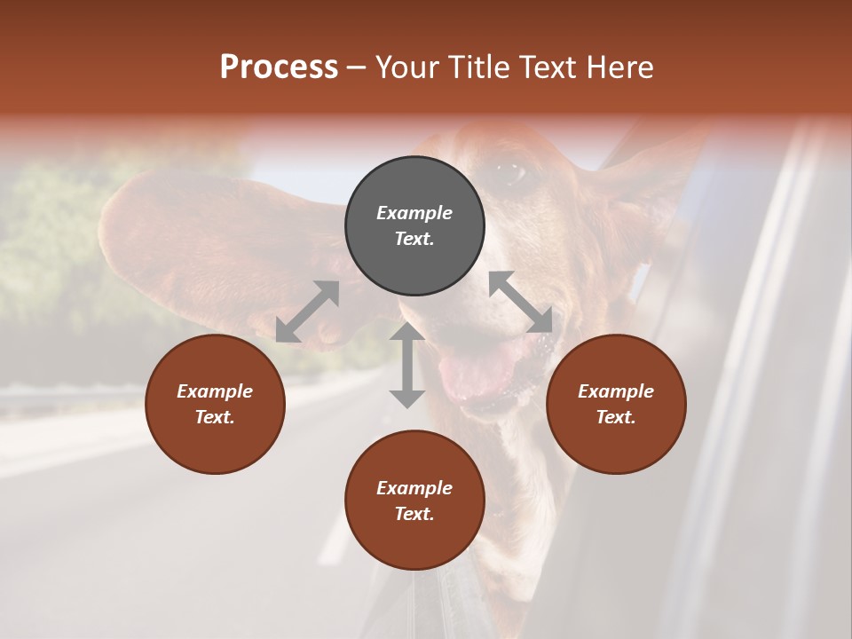 Mammal Animal Humorous PowerPoint Template