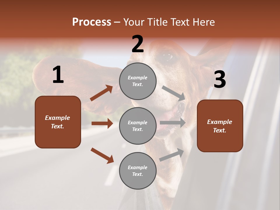 Mammal Animal Humorous PowerPoint Template