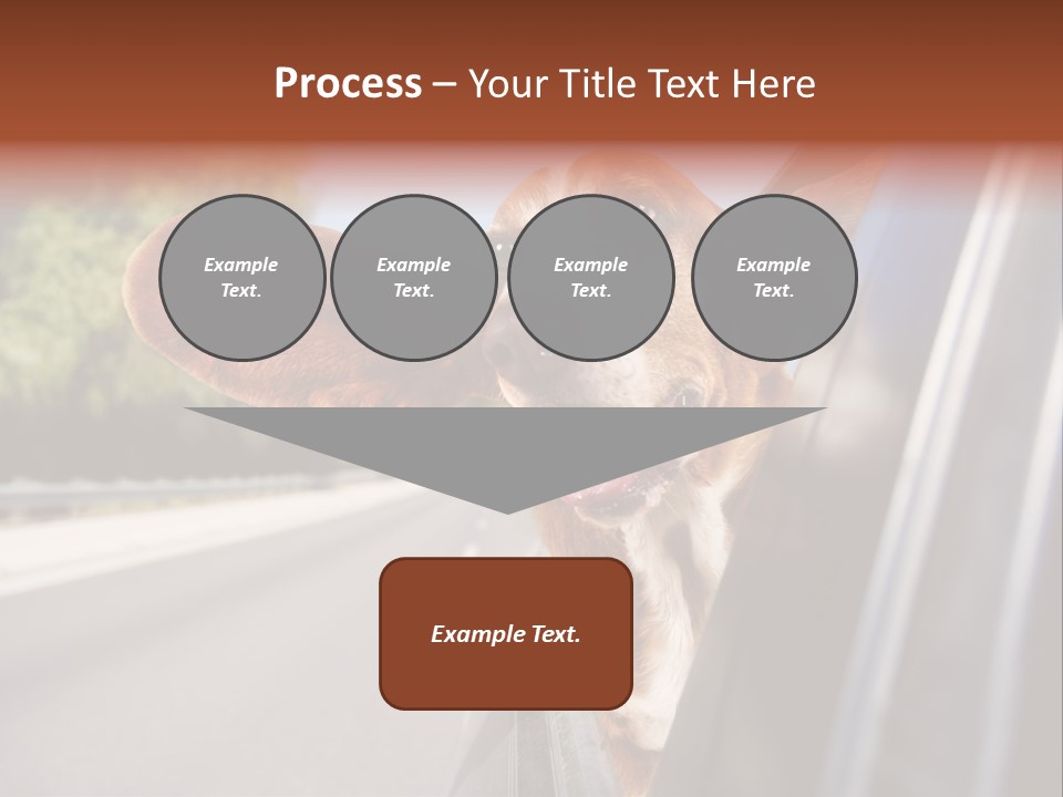 Mammal Animal Humorous PowerPoint Template