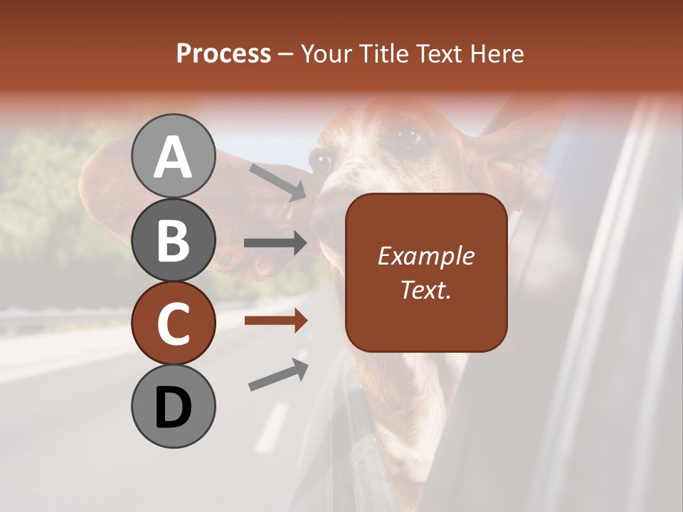 Mammal Animal Humorous PowerPoint Template