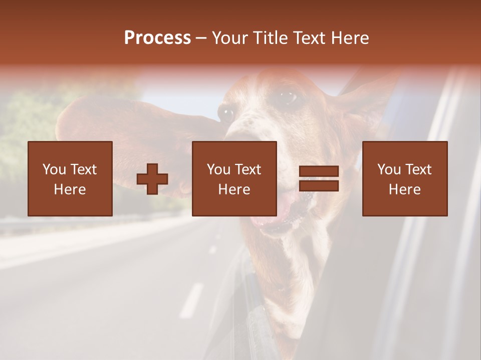 Mammal Animal Humorous PowerPoint Template