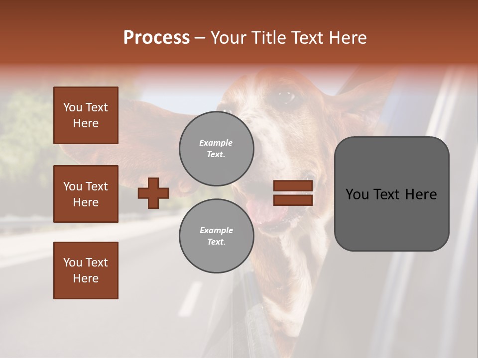 Mammal Animal Humorous PowerPoint Template