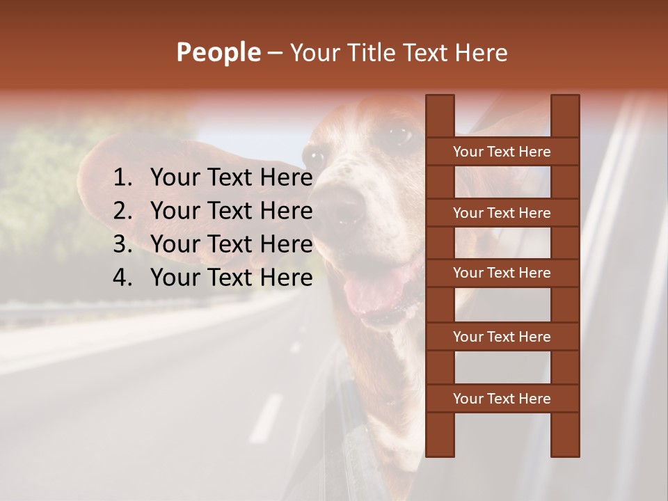 Mammal Animal Humorous PowerPoint Template