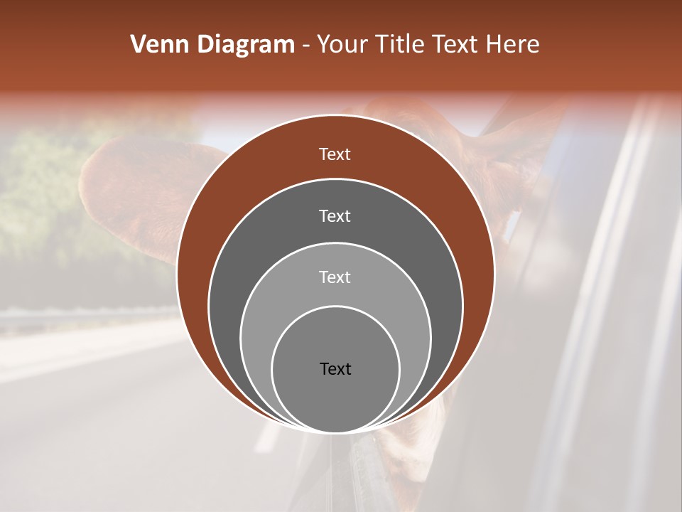 Mammal Animal Humorous PowerPoint Template