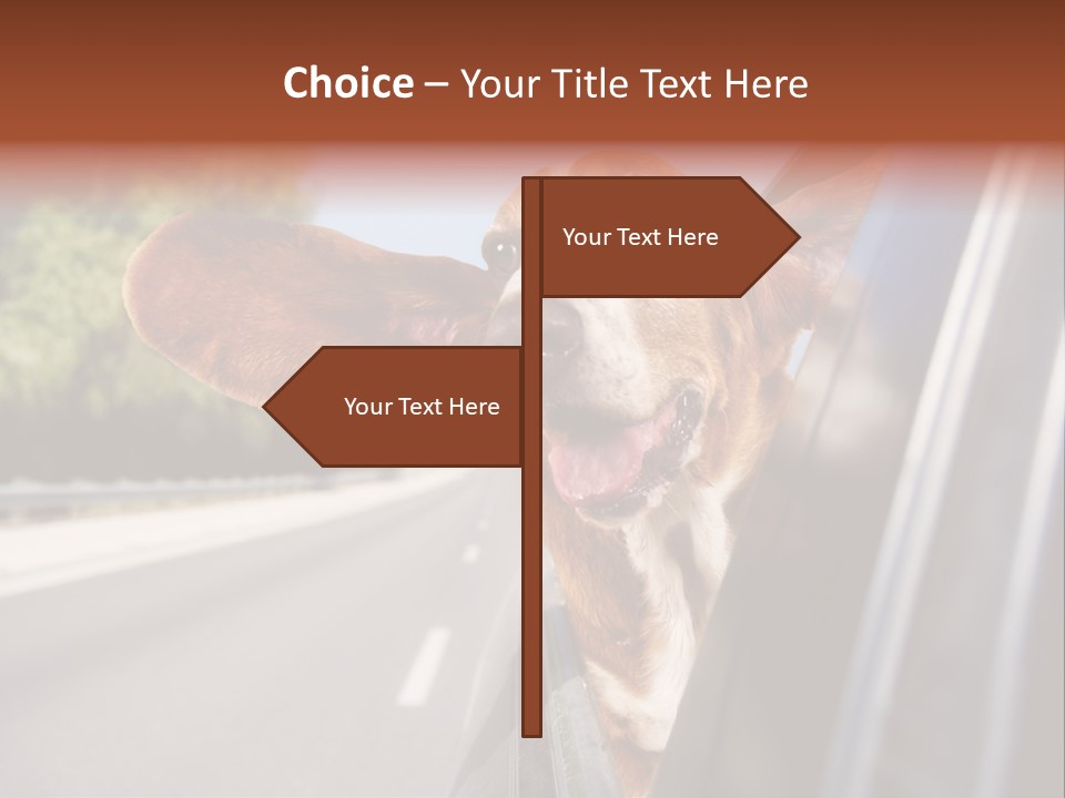 Mammal Animal Humorous PowerPoint Template