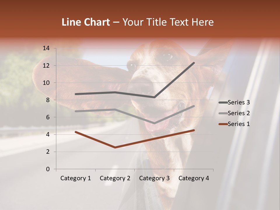 Mammal Animal Humorous PowerPoint Template