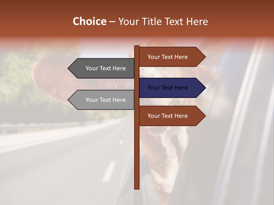 Mammal Animal Humorous PowerPoint Template