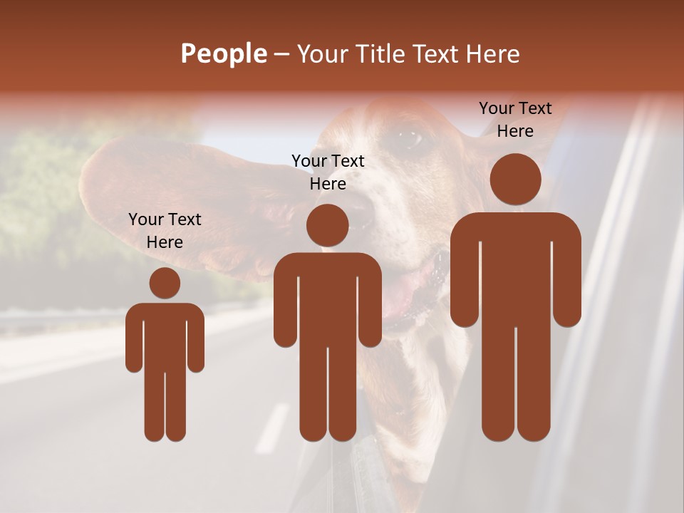 Mammal Animal Humorous PowerPoint Template