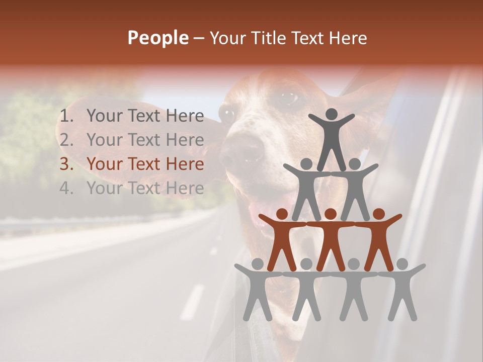 Mammal Animal Humorous PowerPoint Template