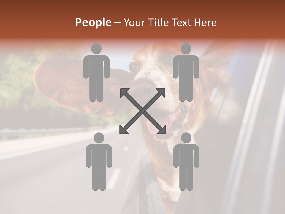 Mammal Animal Humorous PowerPoint Template