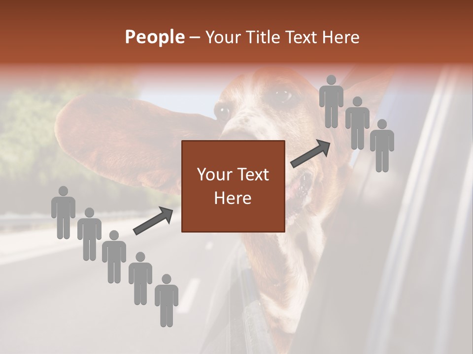 Mammal Animal Humorous PowerPoint Template