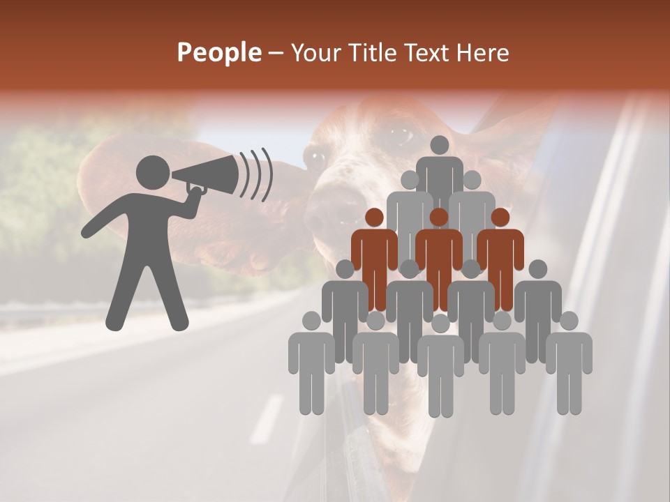 Mammal Animal Humorous PowerPoint Template