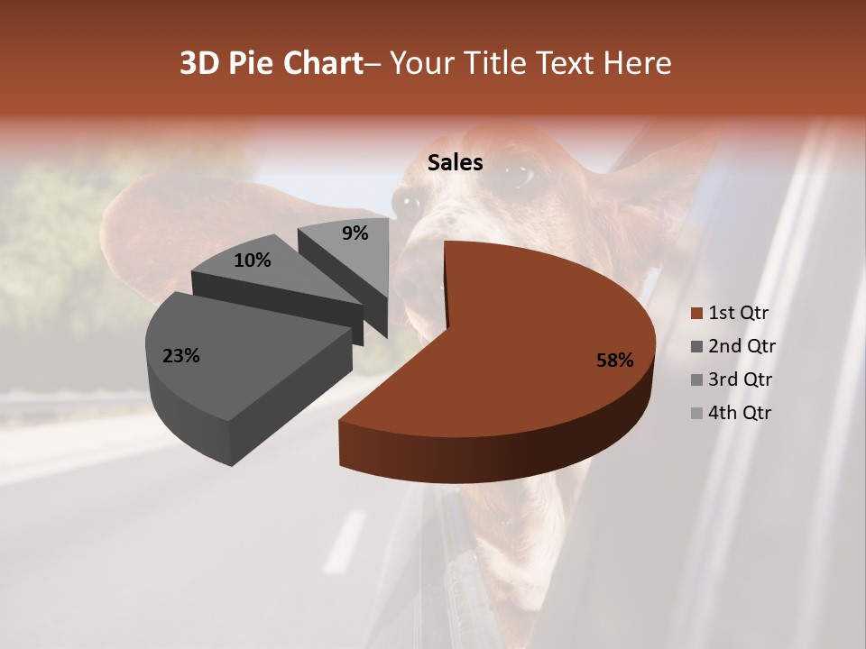Mammal Animal Humorous PowerPoint Template