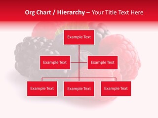 Care Stem Dessert PowerPoint Template