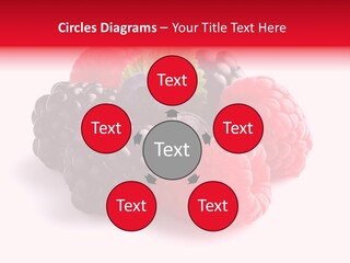 Care Stem Dessert PowerPoint Template