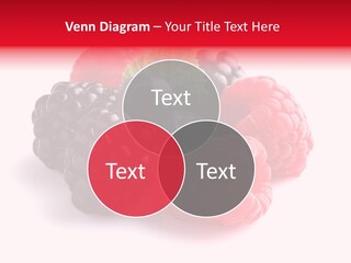 Care Stem Dessert PowerPoint Template