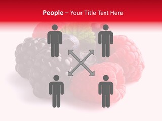 Care Stem Dessert PowerPoint Template