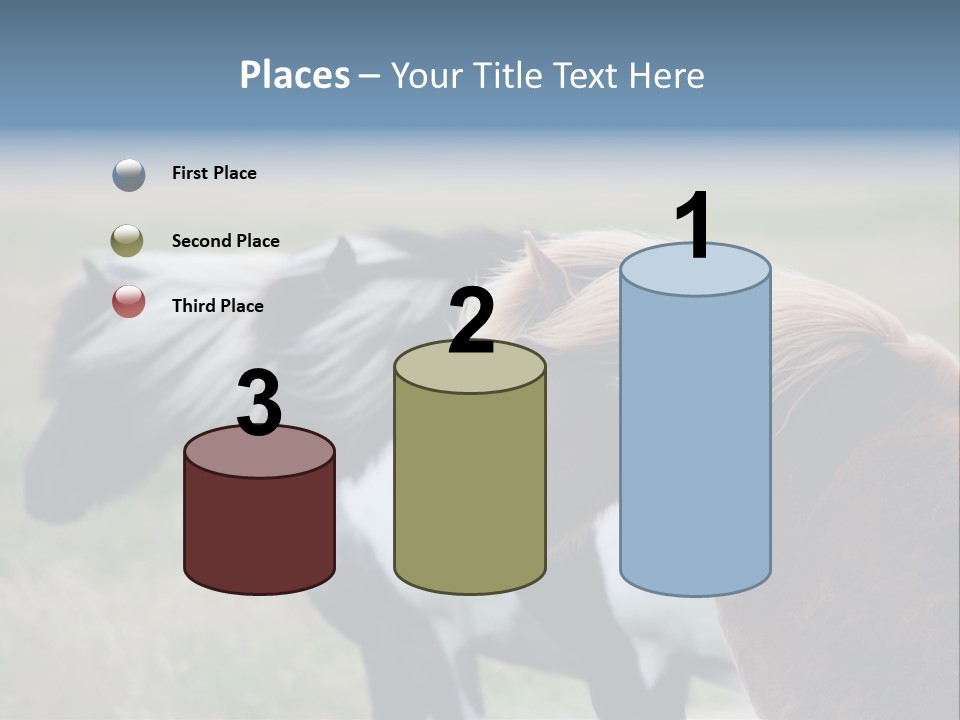 Horse Chestnut Three PowerPoint Template