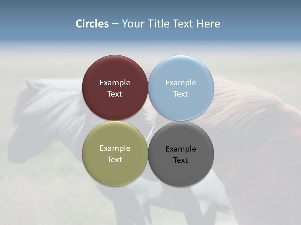 Horse Chestnut Three PowerPoint Template