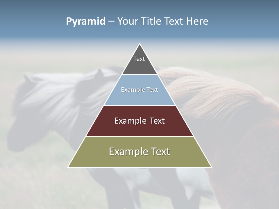 Horse Chestnut Three PowerPoint Template