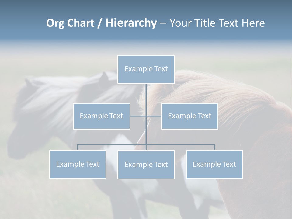 Horse Chestnut Three PowerPoint Template