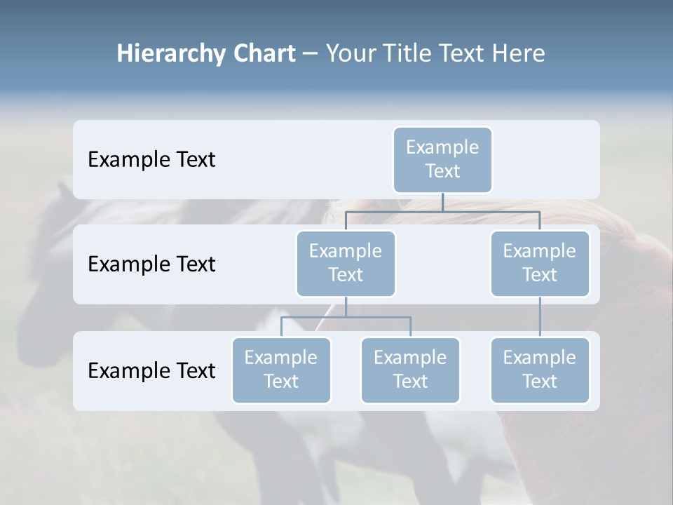 Horse Chestnut Three PowerPoint Template