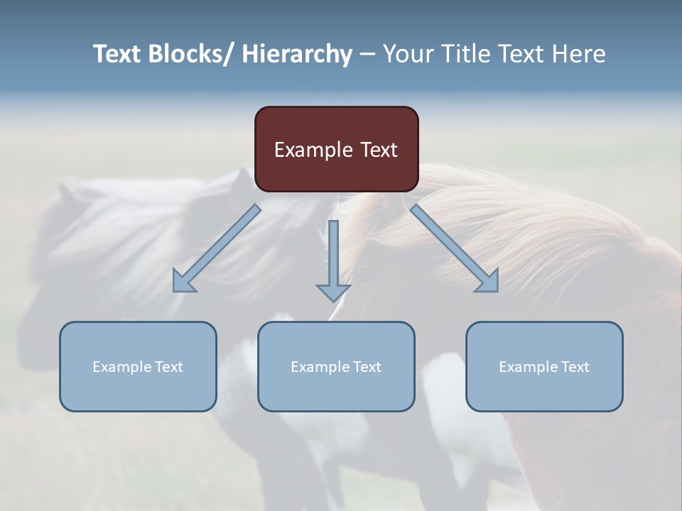 Horse Chestnut Three PowerPoint Template