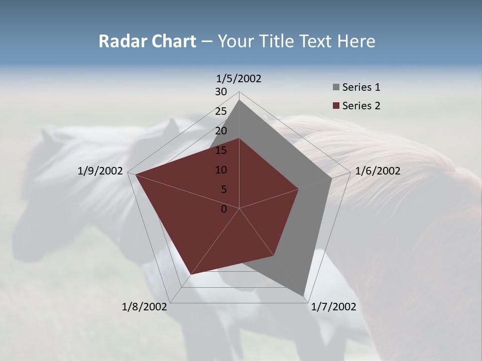 Horse Chestnut Three PowerPoint Template