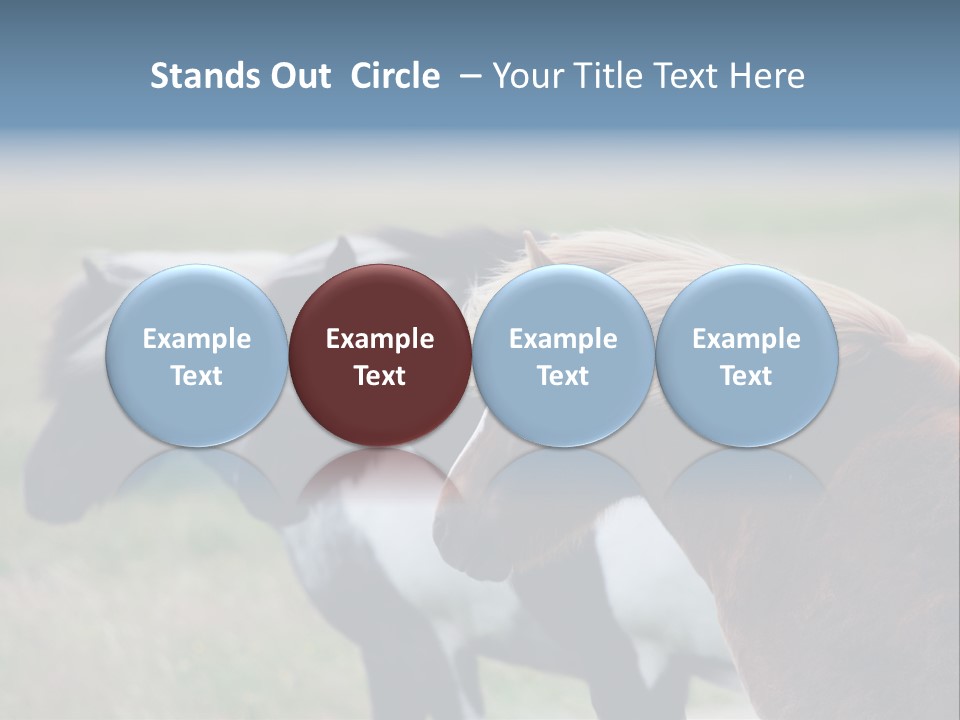 Horse Chestnut Three PowerPoint Template