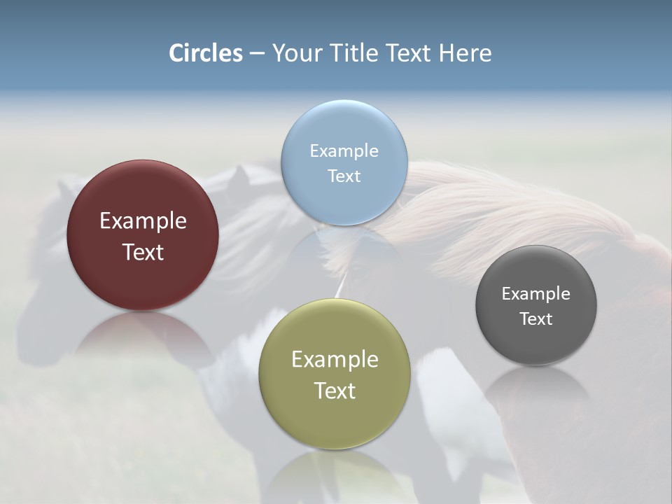 Horse Chestnut Three PowerPoint Template