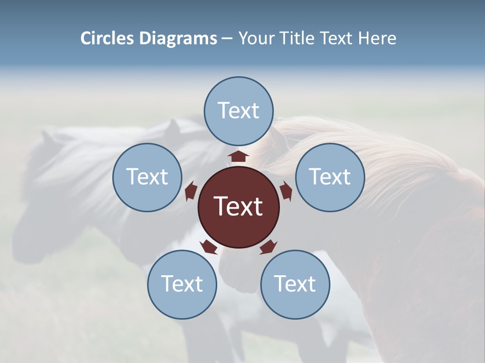 Horse Chestnut Three PowerPoint Template